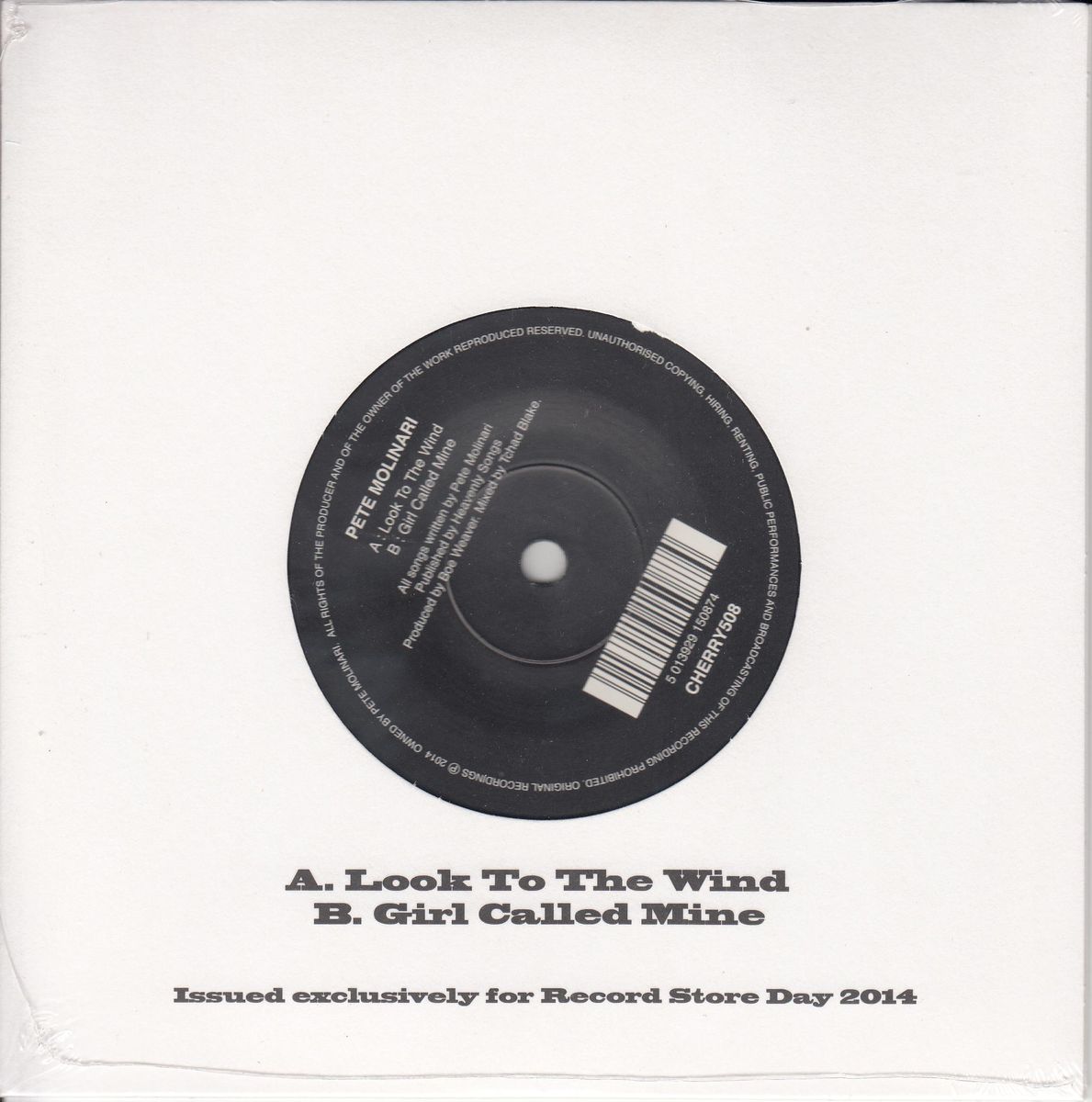 Pete Molinari - Look To The Wind