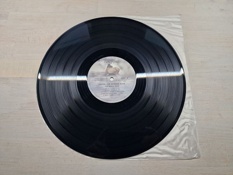 The Beach Boys - Keepin' The Summer Alive (Japan)