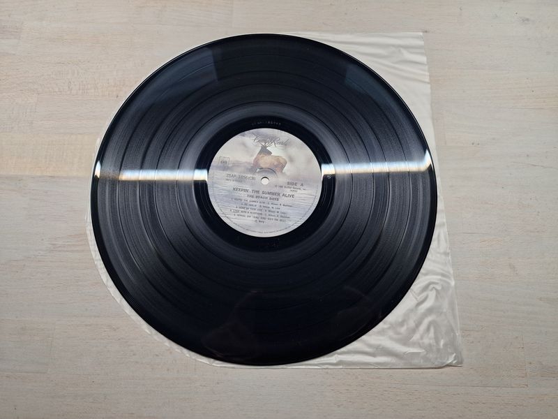 The Beach Boys - Keepin' The Summer Alive (Japan)